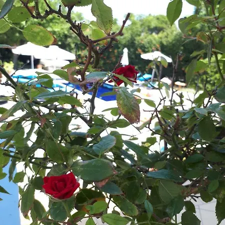 Villa Giovanni Faliraki