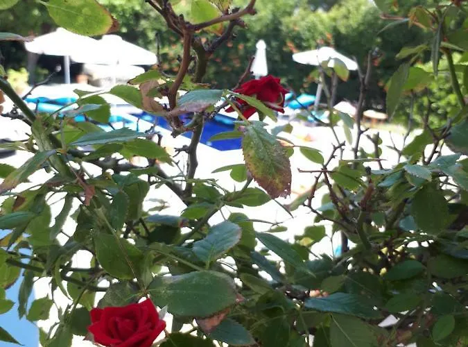 Вилла Giovanni Фалираки